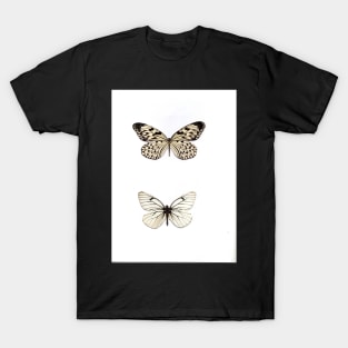 white butterfly butterflies natural history specimen poster print black white graphic T-Shirt